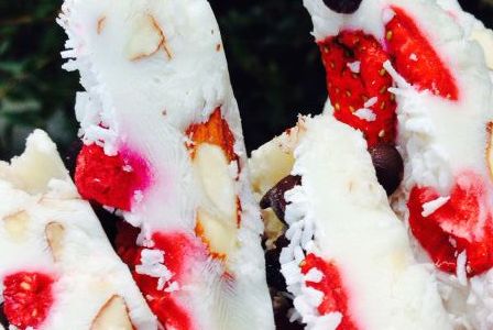 Protein Yoghurt Slices